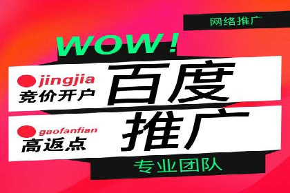 行业专家解读：专业SEM托管的五大成功案例